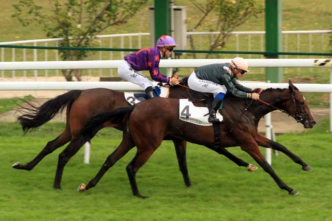 Photo d'arrivée de la course pmu PRIX SOYA à SAINT-CLOUD le Lundi 19 septembre 2016