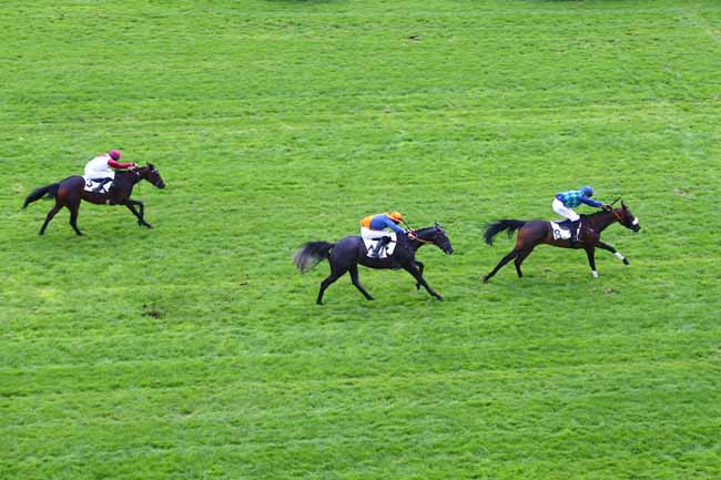 Photo d'arrivée de la course pmu PRIX AMATI à AUTEUIL le Mardi 20 septembre 2016