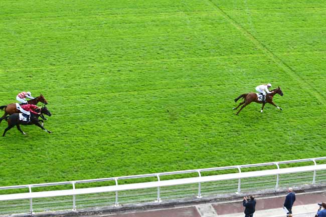 Photo d'arrivée de la course pmu PRIX CALABRAIS à AUTEUIL le Mardi 20 septembre 2016