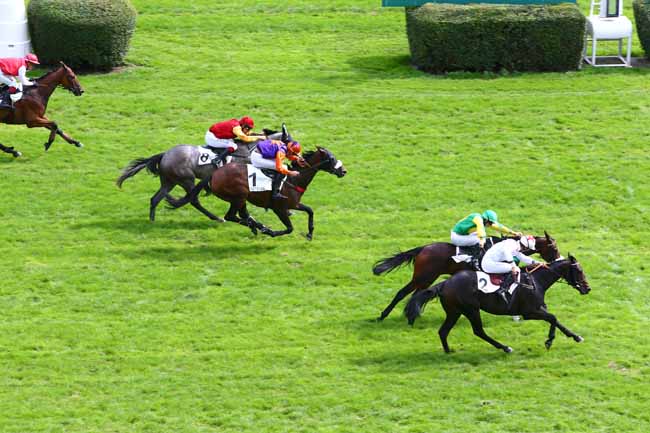 Photo d'arrivée de la course pmu PRIX DE LA SAVOIE à AUTEUIL le Mardi 20 septembre 2016