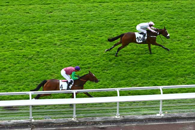 Photo d'arrivée de la course pmu PRIX PATRICK LEC à AUTEUIL le Mardi 20 septembre 2016