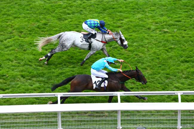 Photo d'arrivée de la course pmu PRIX D'ANGERS à AUTEUIL le Mardi 20 septembre 2016