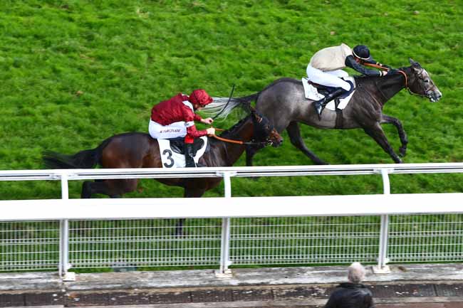 Photo d'arrivée de la course pmu PRIX DE GIEN à AUTEUIL le Mardi 20 septembre 2016