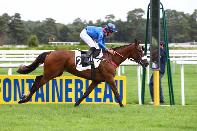 Photo d'arrivée de la course pmu PRIX DES BUMPERS à FONTAINEBLEAU le Mardi 20 septembre 2016