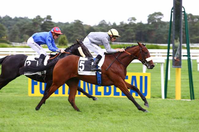 Photo d'arrivée de la course pmu PRIX DES ACACIAS à FONTAINEBLEAU le Mardi 20 septembre 2016