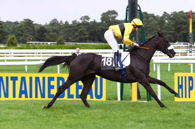 Photo d'arrivée de la course pmu PRIX MADAME CHARLES DU BREIL à FONTAINEBLEAU le Mardi 20 septembre 2016
