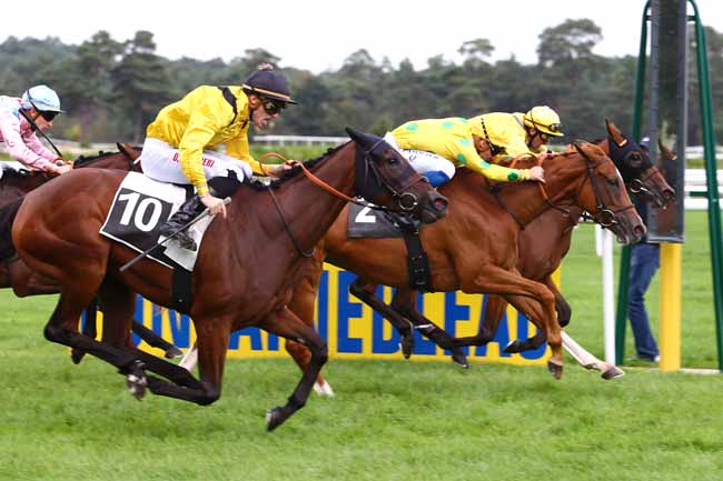 Photo d'arrivée de la course pmu PRIX DES GRANDS CERFS à FONTAINEBLEAU le Mardi 20 septembre 2016