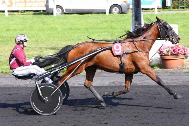 Photo d'arrivée de la course pmu GRAND PRIX DE LA FEDERATION REGIONALE DU NORD à LE CROISE-LAROCHE le Mercredi 21 septembre 2016