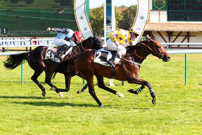 Photo d'arrivée de la course pmu PRIX COMMANDANT GUY DE PIBRAC à COMPIEGNE le Mercredi 21 septembre 2016