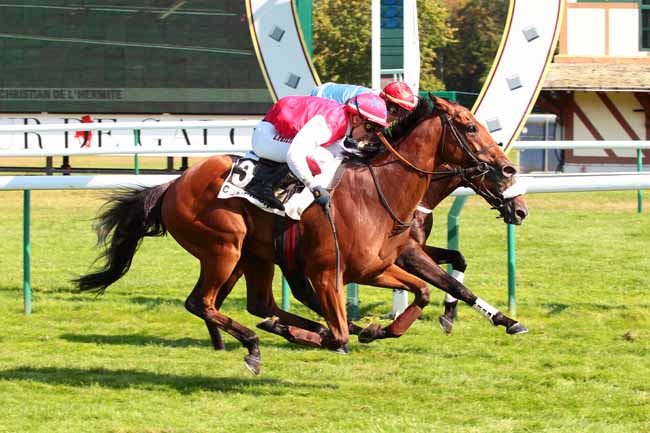 Photo d'arrivée de la course pmu PRIX CHRISTIAN DE L'HERMITE à COMPIEGNE le Mercredi 21 septembre 2016