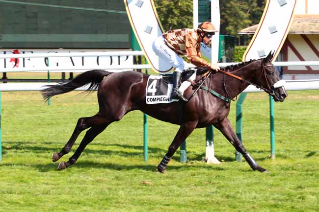 Photo d'arrivée de la course pmu PRIX GRAND CROC à COMPIEGNE le Mercredi 21 septembre 2016