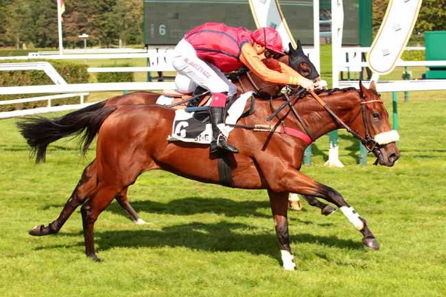 Photo d'arrivée de la course pmu PRIX D'OFFEMONT à COMPIEGNE le Mercredi 21 septembre 2016
