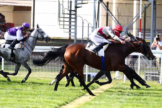 Photo d'arrivée de la course pmu PRIX DE LA VASTINE à MAISONS-LAFFITTE le Mercredi 21 septembre 2016