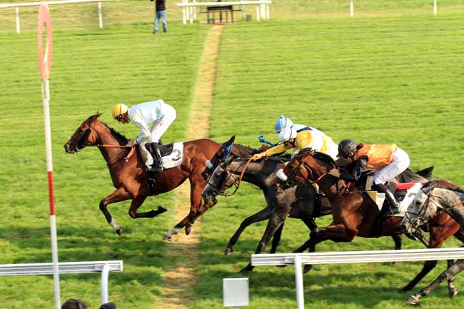 Photo d'arrivée de la course pmu PRIX DE LA DUNANERIE à MAISONS-LAFFITTE le Mercredi 21 septembre 2016