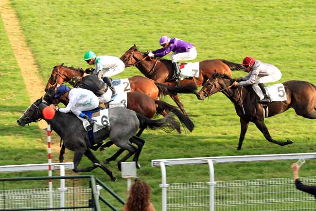 Photo d'arrivée de la course pmu PRIX ECLIPSE à MAISONS-LAFFITTE le Mercredi 21 septembre 2016