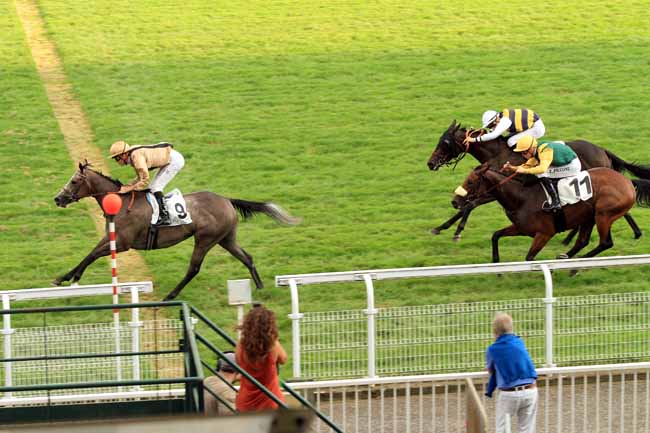 Photo d'arrivée de la course pmu PRIX DE LEVIS SAINT-NOM à MAISONS-LAFFITTE le Mercredi 21 septembre 2016
