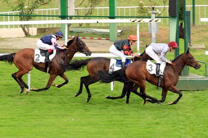 Photo d'arrivée de la course pmu PRIX LELIO à SAINT-CLOUD le Jeudi 22 septembre 2016