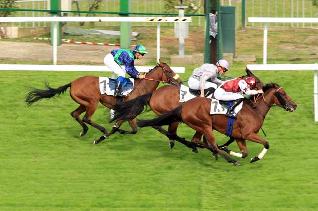 Photo d'arrivée de la course pmu PRIX DE SAINT-JEAN LIGOURE à SAINT-CLOUD le Jeudi 22 septembre 2016