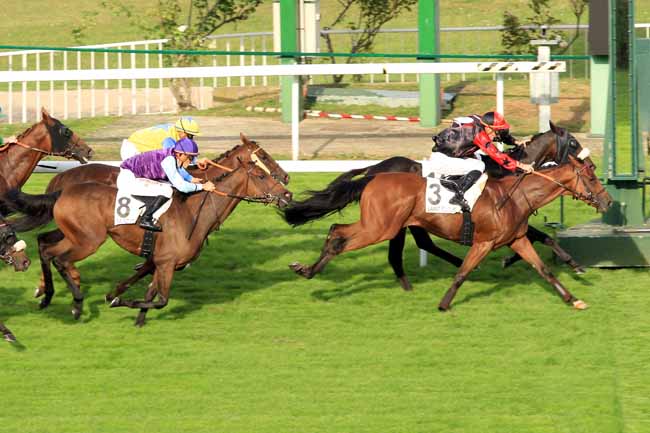 Photo d'arrivée de la course pmu PRIX DE L'EPTE à SAINT-CLOUD le Jeudi 22 septembre 2016
