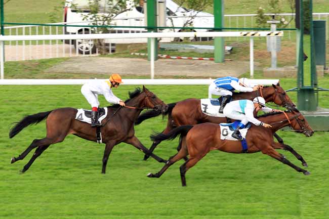 Photo d'arrivée de la course pmu PRIX RHEINGOLD à SAINT-CLOUD le Jeudi 22 septembre 2016