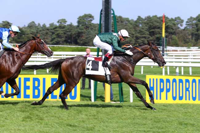Photo d'arrivée de la course pmu PRIX DES ROCHERS DE FONTAINEBLEAU à FONTAINEBLEAU le Vendredi 23 septembre 2016