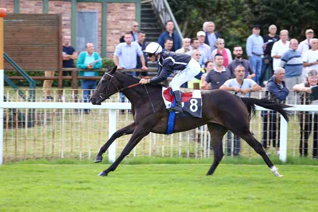 Photo d'arrivée de la course pmu PRIX DU ROCHER DE BOULIGNY à FONTAINEBLEAU le Vendredi 23 septembre 2016