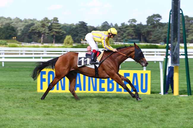 Photo d'arrivée de la course pmu PRIX DE LA MARE AUX EVEES à FONTAINEBLEAU le Vendredi 23 septembre 2016