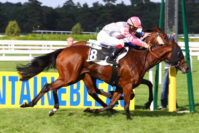 Photo d'arrivée de la course pmu PRIX RADIO EVASION à FONTAINEBLEAU le Vendredi 23 septembre 2016