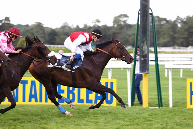 Photo d'arrivée de la course pmu PRIX DE LA SOCIETE DES COURSES DE RAMBOUILLET à FONTAINEBLEAU le Vendredi 23 septembre 2016