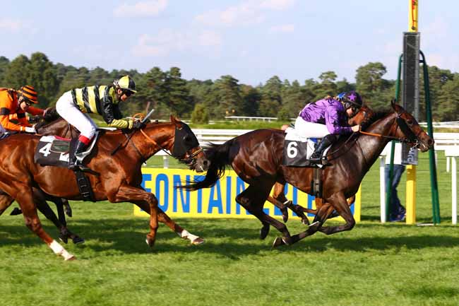 Photo d'arrivée de la course pmu PRIX ANNE FEVRE à FONTAINEBLEAU le Vendredi 23 septembre 2016