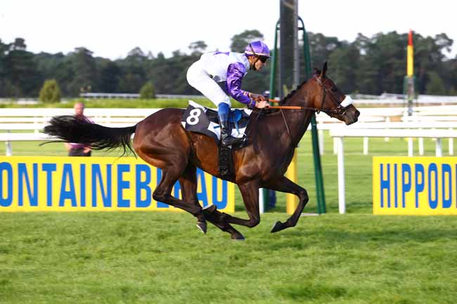 Photo d'arrivée de la course pmu PRIX DE LA SOCIETE DES COURSES DE GOURNAY-EN-BRAY à FONTAINEBLEAU le Vendredi 23 septembre 2016