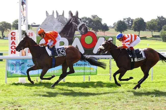 Photo d'arrivée de la course pmu PRIX DU CHENE DE CRAON à CRAON le Lundi 26 septembre 2016