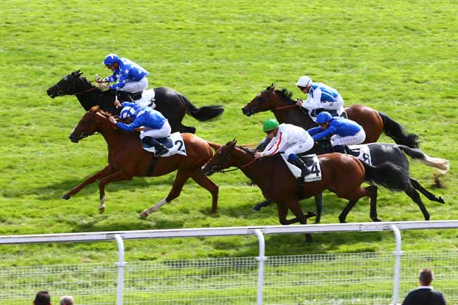 Photo d'arrivée de la course pmu PRIX JOYEUX DRILLE à MAISONS-LAFFITTE le Lundi 26 septembre 2016