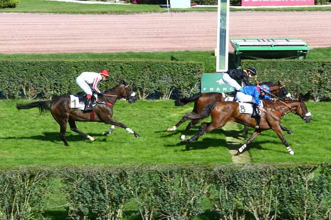 Photo d'arrivée de la course pmu PRIX JUMNA à ENGHIEN le Mardi 27 septembre 2016