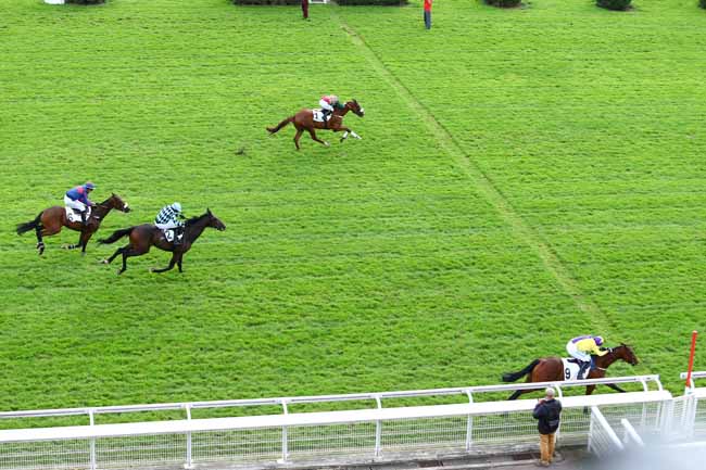 Photo d'arrivée de la course pmu PRIX PIOMARES à AUTEUIL le Mercredi 28 septembre 2016