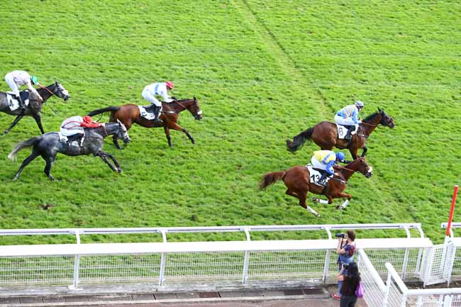 Photo d'arrivée de la course pmu PRIX GRANDLIEU à AUTEUIL le Mercredi 28 septembre 2016