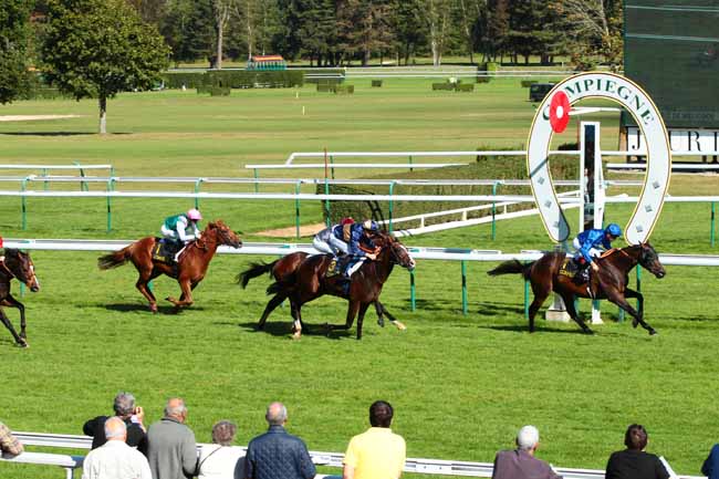 Photo d'arrivée de la course pmu PRIX DE MELICOCQ à COMPIEGNE le Jeudi 29 septembre 2016