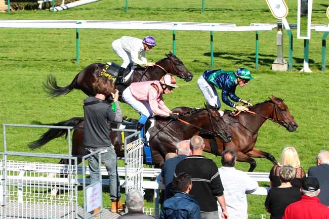 Photo d'arrivée de la course pmu PRIX DE CARLEPONT à COMPIEGNE le Jeudi 29 septembre 2016