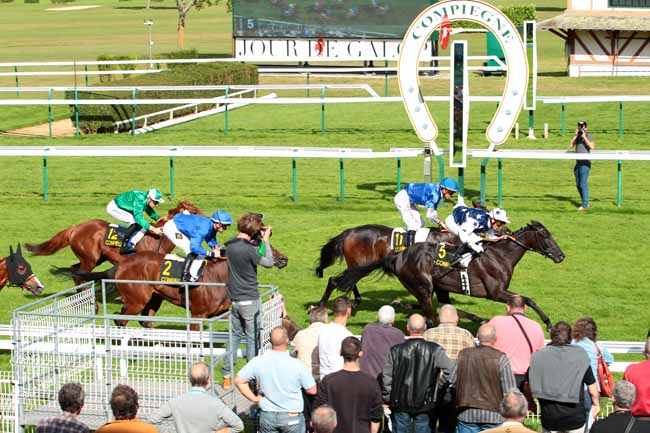 Photo d'arrivée de la course pmu PRIX DE JANVILLE à COMPIEGNE le Jeudi 29 septembre 2016