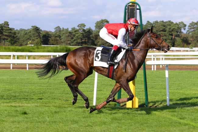 Photo d'arrivée de la course pmu PRIX RICHARD D'AYGUEVIVES à FONTAINEBLEAU le Jeudi 29 septembre 2016