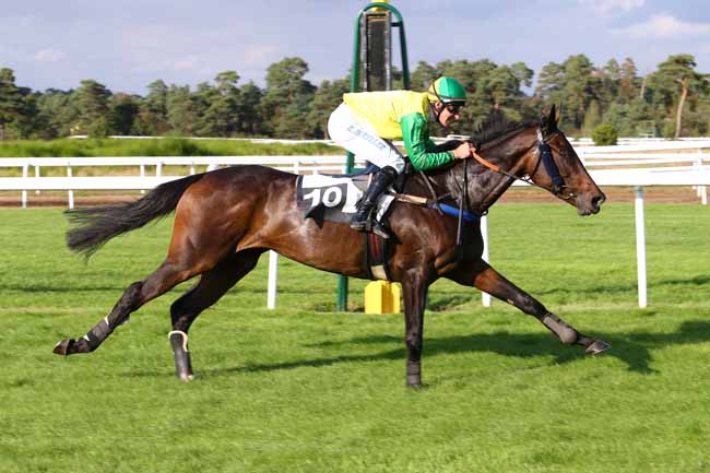 Photo d'arrivée de la course pmu PRIX RADIO EVASION à FONTAINEBLEAU le Jeudi 29 septembre 2016