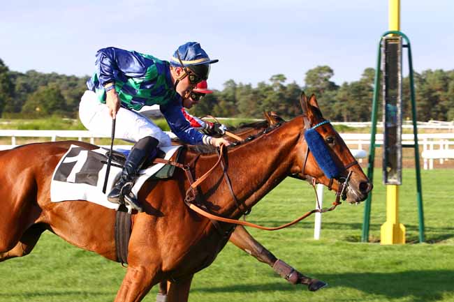Photo d'arrivée de la course pmu PRIX PIERRE DEBROISE à FONTAINEBLEAU le Jeudi 29 septembre 2016
