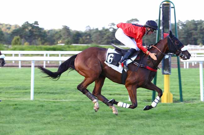 Photo d'arrivée de la course pmu PRIX PLANET SUSHI A FONTAINEBLEAU à FONTAINEBLEAU le Jeudi 29 septembre 2016