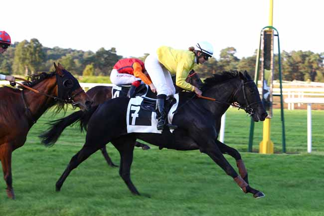 Photo d'arrivée de la course pmu PRIX DE LA VILLE D'AVON à FONTAINEBLEAU le Jeudi 29 septembre 2016