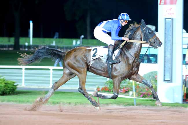 Photo d'arrivée de la course pmu PRIX DE VENISSIEUX à ENGHIEN le Jeudi 29 septembre 2016