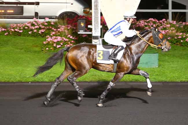 Photo d'arrivée de la course pmu PRIX IRMA à PARIS-VINCENNES le Vendredi 30 septembre 2016