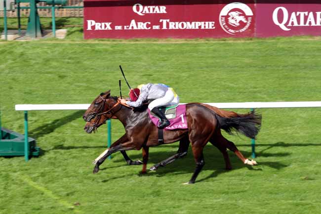 Photo d'arrivée de la course pmu QATAR PRIX CHAUDENAY à CHANTILLY le Samedi 1 octobre 2016