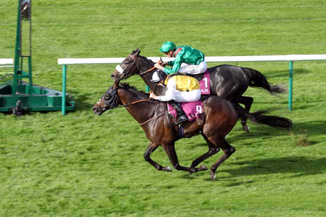 Photo d'arrivée de la course pmu QATAR PRIX DU CADRAN à CHANTILLY le Samedi 1 octobre 2016