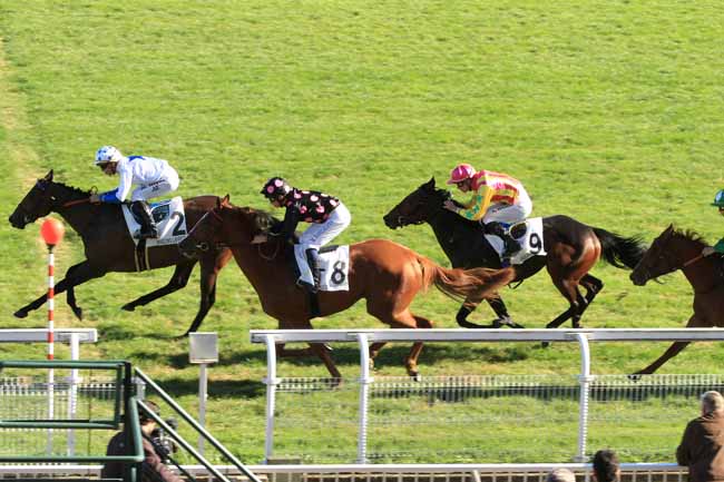 Photo d'arrivée de la course pmu PRIX ORTIE BLANCHE à MAISONS-LAFFITTE le Lundi 3 octobre 2016