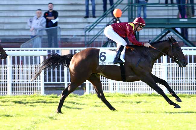 Photo d'arrivée de la course pmu PRIX DE BONNEVAL à MAISONS-LAFFITTE le Lundi 3 octobre 2016